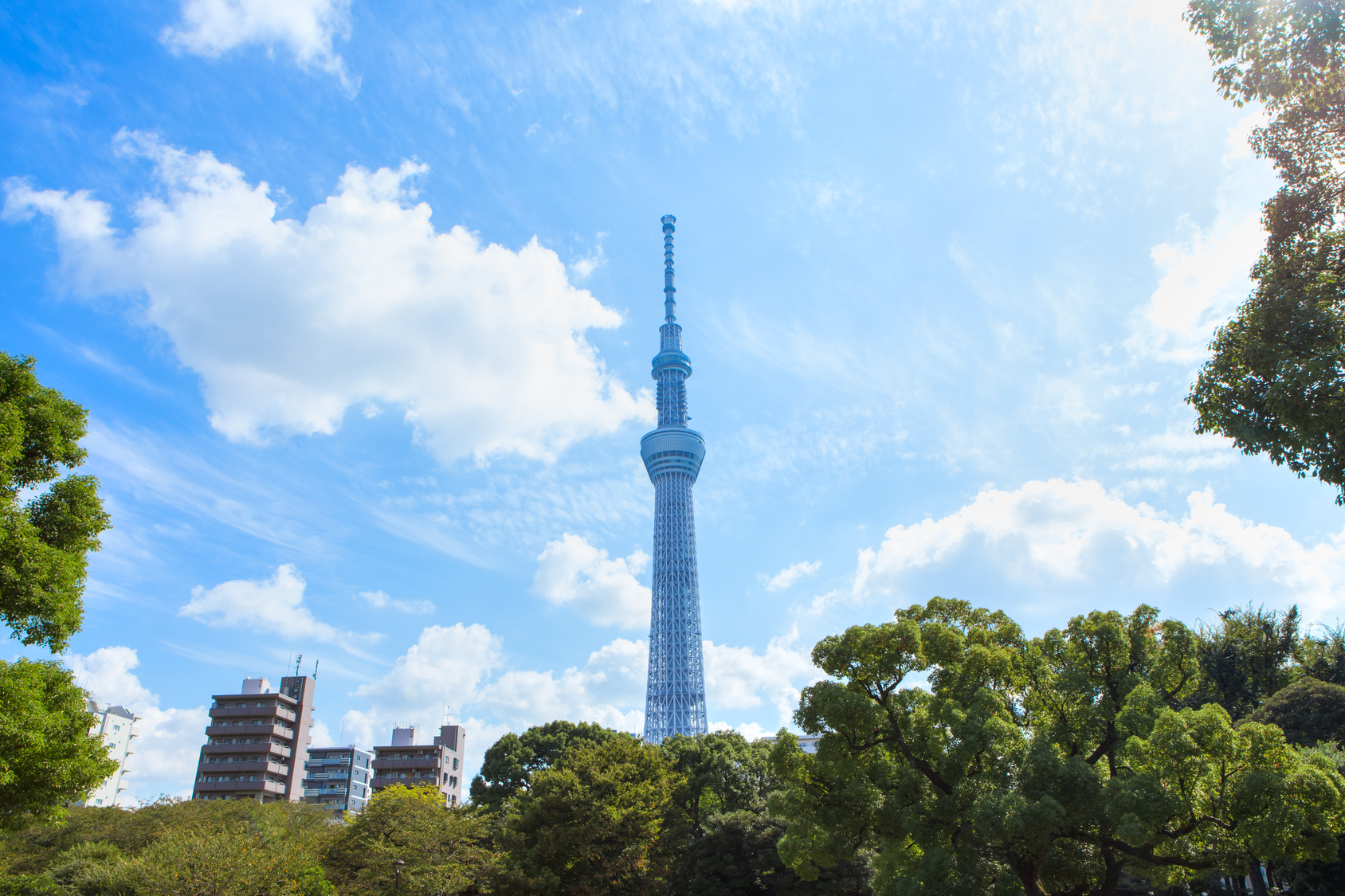 東京都墨田区で特殊清掃を依頼する前に知っておくべきこと