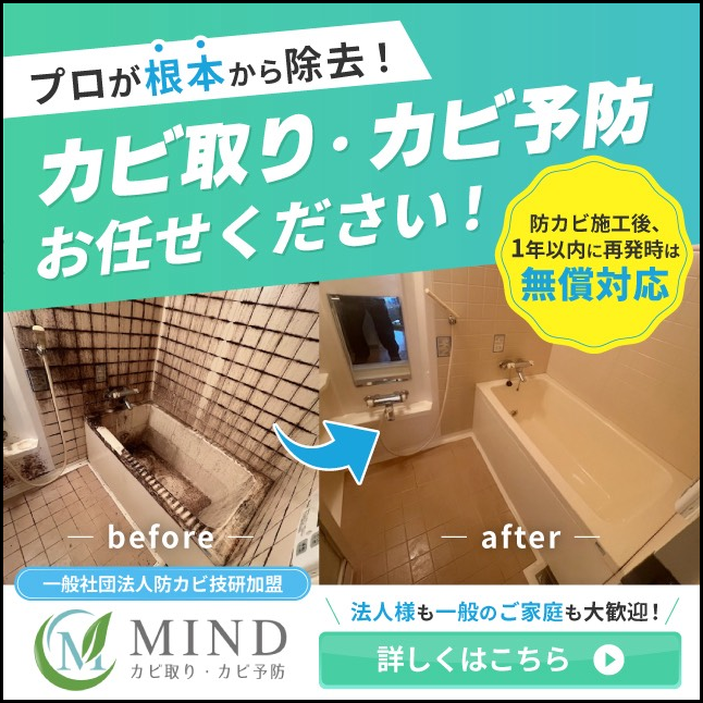 カビ取りカビ予防